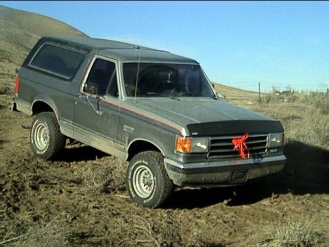 1989 Ford Bronco - This 1989 Ford Bronco is parked on a dirt hill, a red bow on its grille.