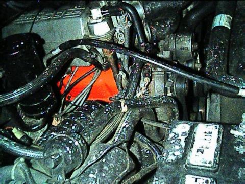 1989 Ford Bronco - view from passenger side