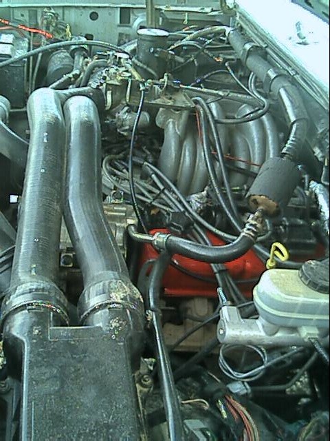 1989 Ford Bronco - another pic of 351