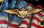 1981 Kenworth W900A - US Air Force pilot wings emblem against a backdrop of the American flag.