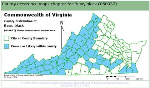 1971 Ford Ranchero - A screenshot of a Commonwealth of Virginia county distribution map for the black bear (Ursus americanus americanus), with counties where be…