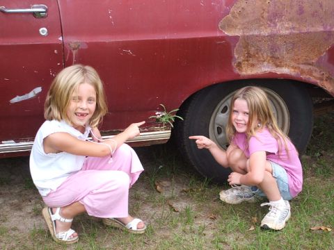 1966 Ford Ranchero - A plant is growing out of the side of a rusty car, with two girls pointing at it.