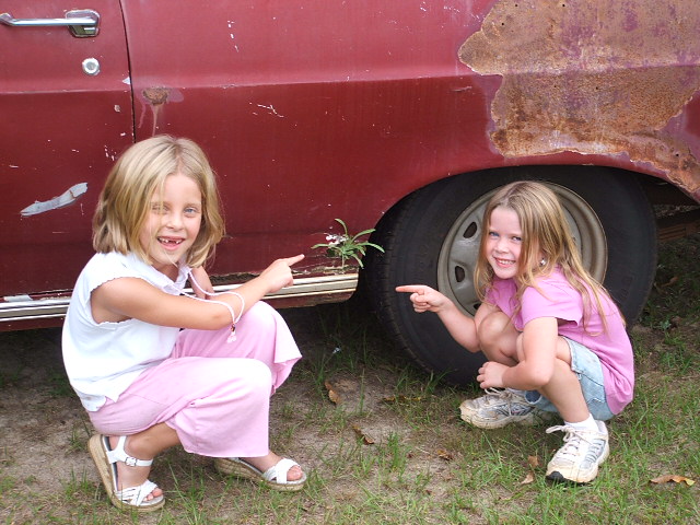 Two young girls squatting next to a rusty red car, pointing at a small plant growing from the rocker panel near the rear wheel