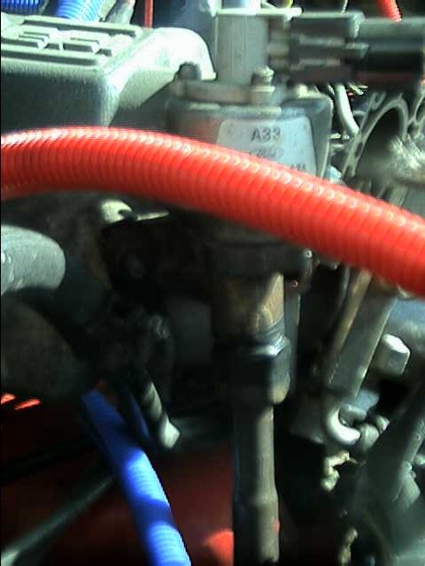 1989 Ford Bronco - Close-up of engine components, including a distributor cap and hoses.