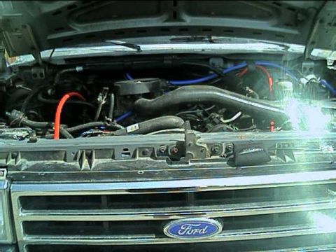 1989 Ford Bronco - 4-20-03 engine pic