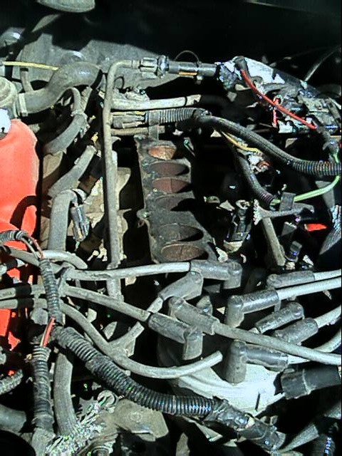 1989 Ford Bronco - lower intake view