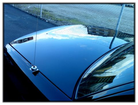 1998 Ford Crown Victoria - Reflections on the hood and windshield of a dark-colored car.