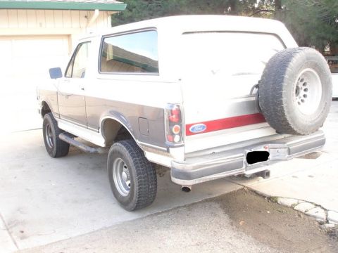 1989 Ford Bronco - Rear view of a white 1989 Ford Bronco, a spare tire mounted on the tailgate and a red stripe accent.