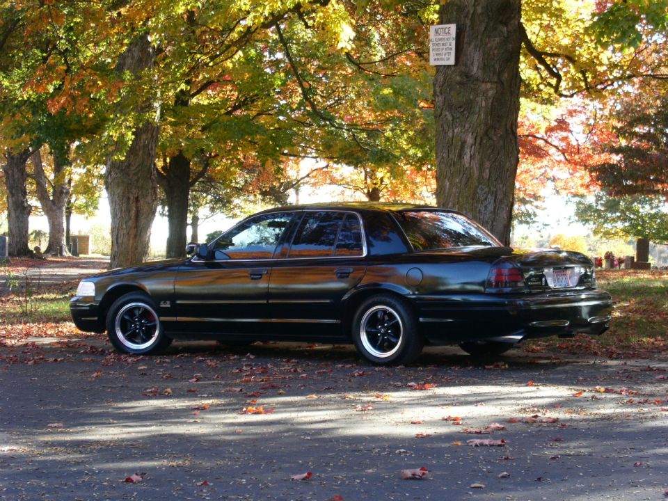 Black sedan parked under trees with fall foliage. It has black rims and tinted windows