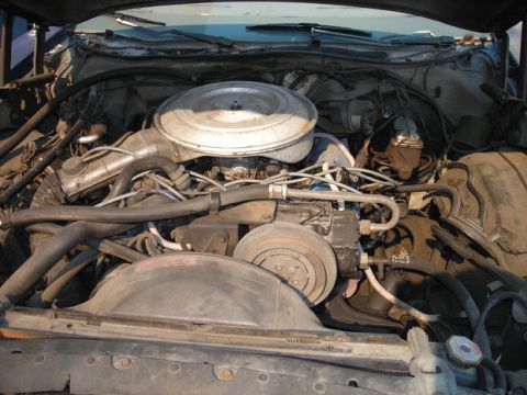 1979 Ford Ranchero “Mimi”