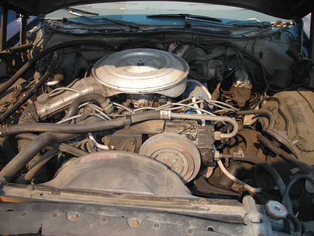 1979 Ford Ranchero “Mimi”
