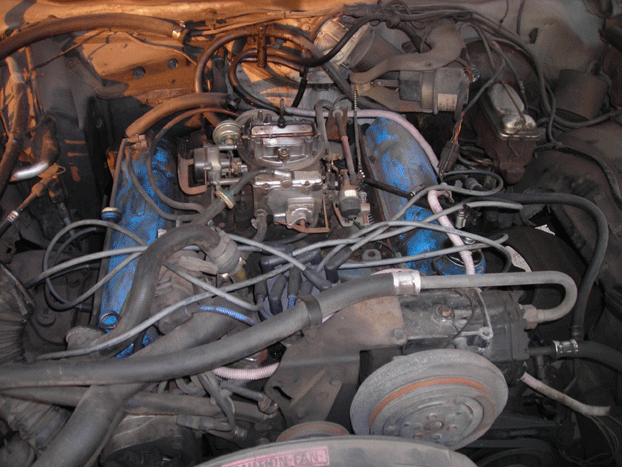 V8 engine with blue intake manifold viewed from the front of the bay