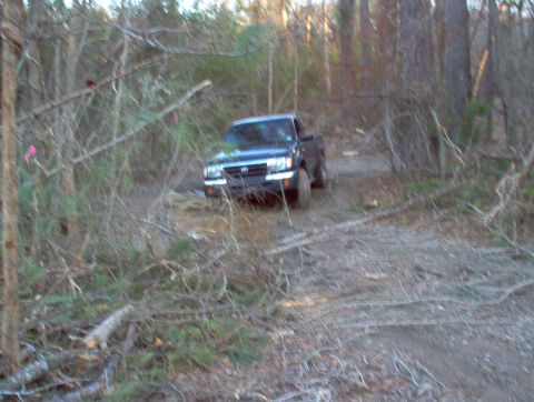 1998 Toyota Tacoma - Toyota Tacoma navigates a wooded trail, kicking up dust.