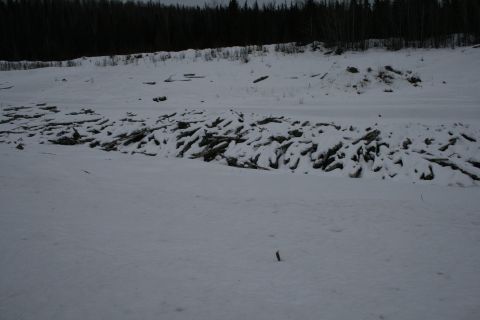 2003 Jeep TJ - A large pile of logs sits covered in snow, with a dark forest visible behind a snowy embankment.