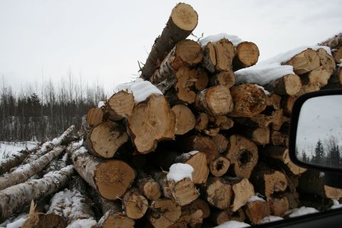 2003 Jeep TJ - A large stack of cut logs sits covered in snow, with a reflection of trees visible in a side mirror.