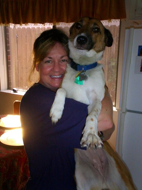 1996 Ford Bronco - Wife and Tinker Bell
