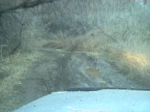 1989 Ford Bronco - more slop