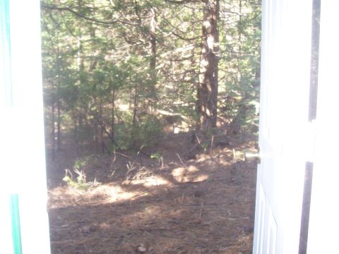 1994 Ford F-150 - A view of a wooded area, possibly a campsite, seen from inside a structure. The Supermotors logo is visible in the lower right corner.