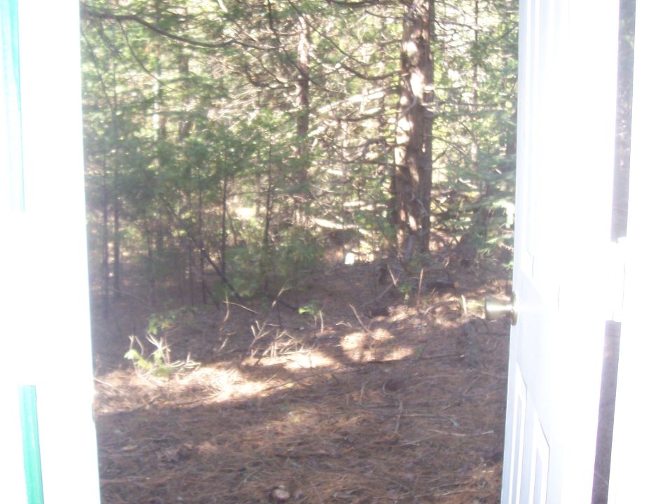 Forest scene viewed through a doorway, with Supermotors logo at bottom right