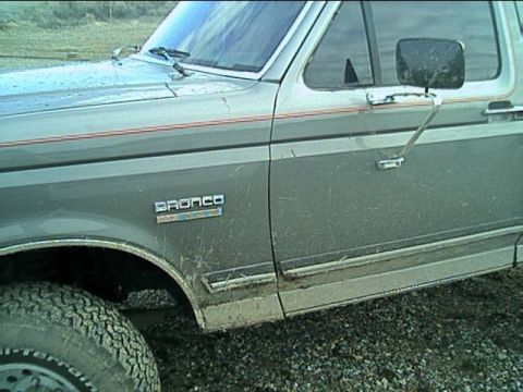 1989 Ford Bronco - some splatter