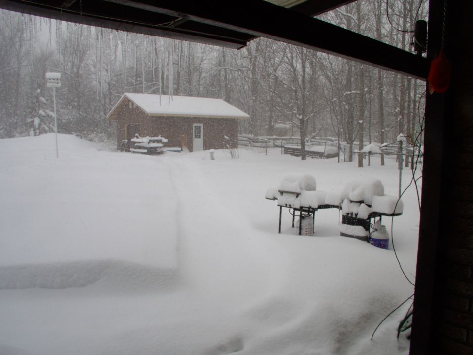 10 feet this Winter already. Here comes another 20 inches