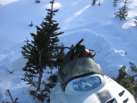 1999 Arctic Cat Powder Special 600 EFI “Pickle”