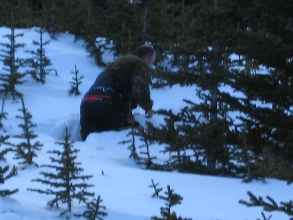 Person in winter gear trudging through deep snow among evergreen trees