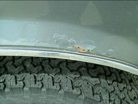 1989 Ford Bronco - Rust is visible on the fender above the tire, indicating potential body damage.