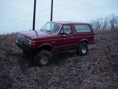 1983 Ford Bronco - Still posing