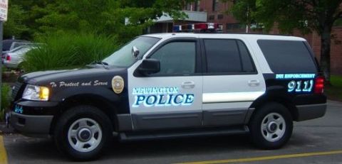 1991 Ford Crown Victoria - newington expedition
