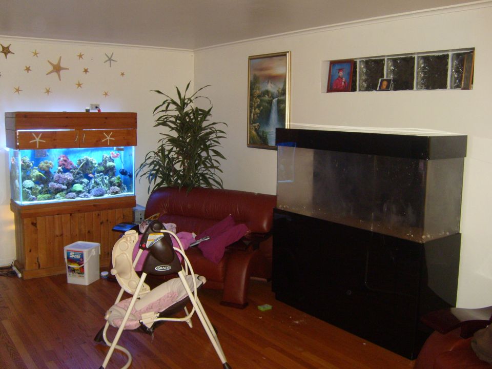 Living room with two aquariums, a red couch and baby swing