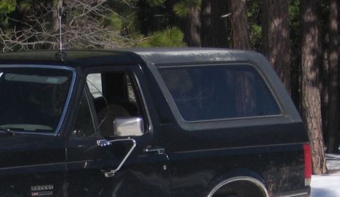 1989 Ford Bronco - Driver Side Glass