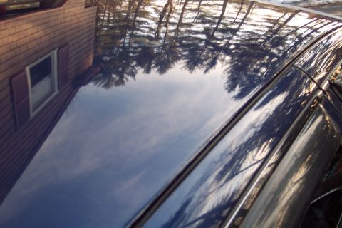 2001 Ford Crown Victoria - The glossy surface of the car's roof reflects the surrounding trees and cloudy sky.