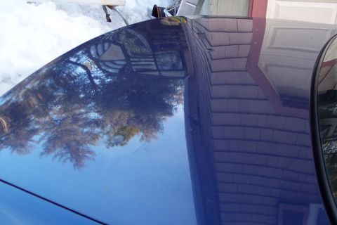 2001 Ford Crown Victoria - Reflection on the hood and roof of a blue car shows trees and a building.