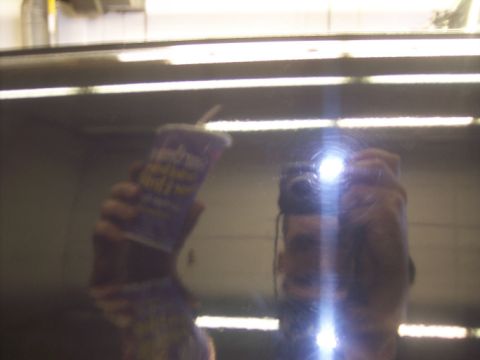 1984 GMC Sierra 3500 - A reflection shows a person holding a cup and a camera, with overhead lights visible.