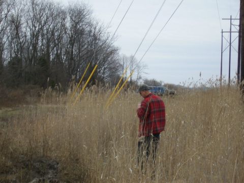 1988 Ford Bronco - A person stands in a field of dry grass near power lines, with vehicles visible in the background.