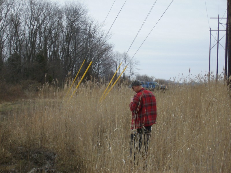 guy in red plaid shirt standing in tall grass, blue van and another vehicle in distance