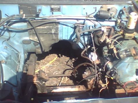 1981 Dodge Power Ram - The engine bay of a vehicle is shown with various components and wiring visible.