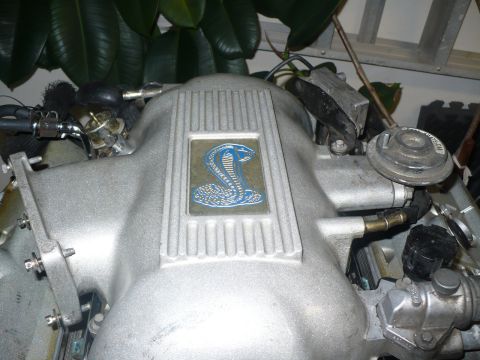 1996 Ford Mustang photo