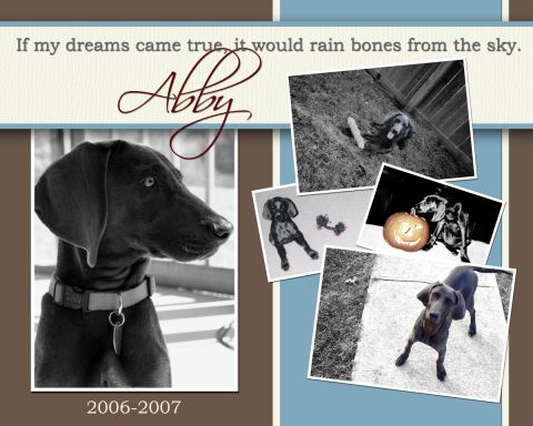 1995 Ford Thunderbird - A collage of photos a dog named Abby, dated 2006-2007.
