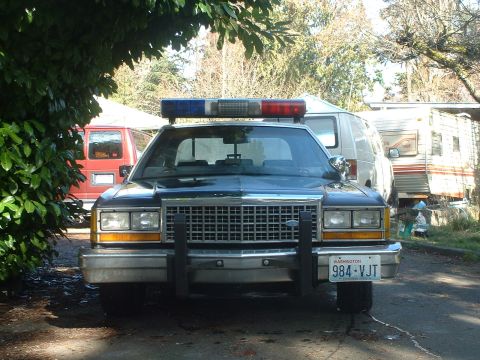 1987 Ford Crown Victoria LTD - A 1987 Ford Crown Victoria LTD police car is parked in front of other vehicles and a trailer.