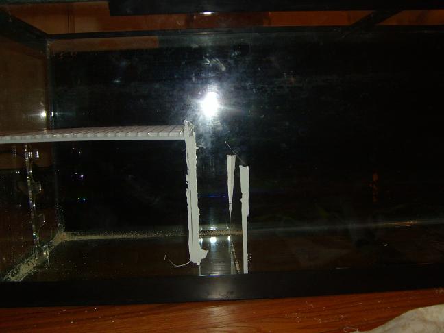 Aquarium with white shelf and peeling tape on glass