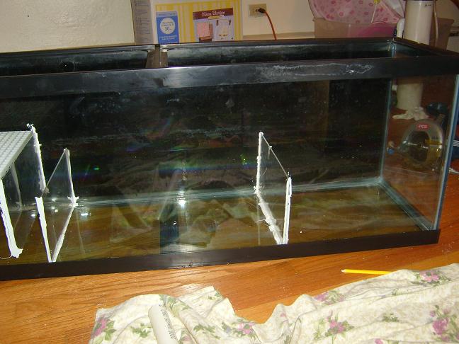 Aquarium with internal dividers, on wooden floor
