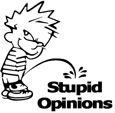 2004 Ford Crown Victoria - A decal reading 'Stupid Opinions' is visible on a vehicle.