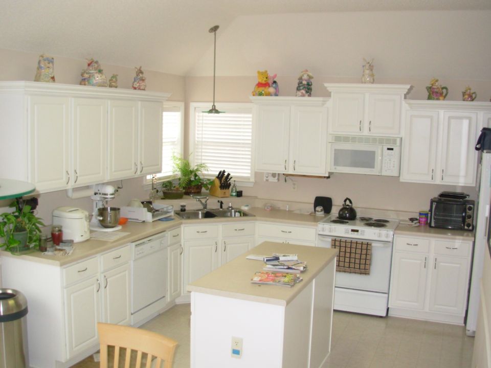 Our kitchen counters looked so horrible that my g/f decided she just HAD to have new ones.