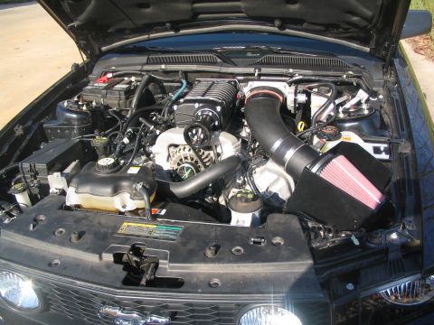 2007 Ford Mustang - Engine bay of a 2007 Ford Mustang a supercharger and aftermarket cold air intake system.
