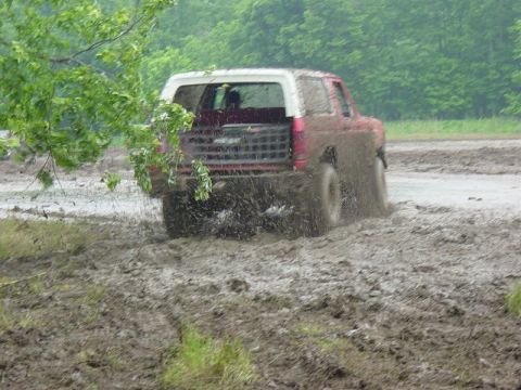1983 Ford Bronco - My son's taking these pics