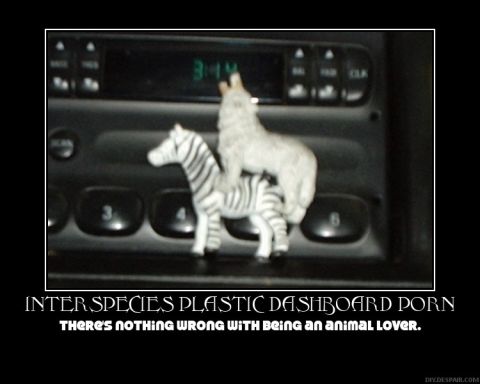 1996 Ford Crown Victoria - Plastic animal figurines are placed on a car's dashboard, obscuring the radio.