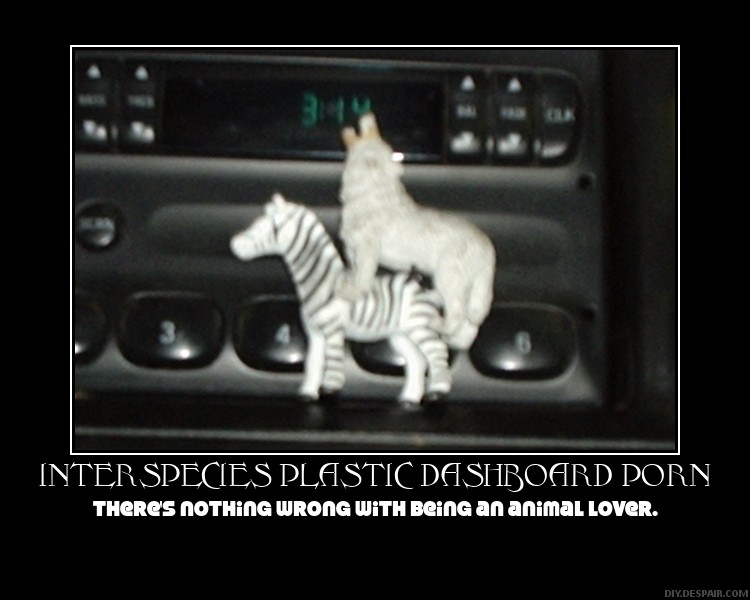 Plastic zebra and wolf figurines on a car's dashboard radio controls