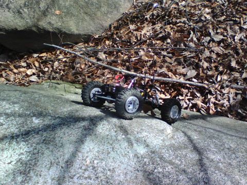 1996 Ford Bronco - A remote control car navigates a rocky terrain with fallen leaves scattered around.